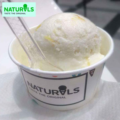 "TENDER COCONUT Ice Cream (500gms) - Naturals - Click here to View more details about this Product